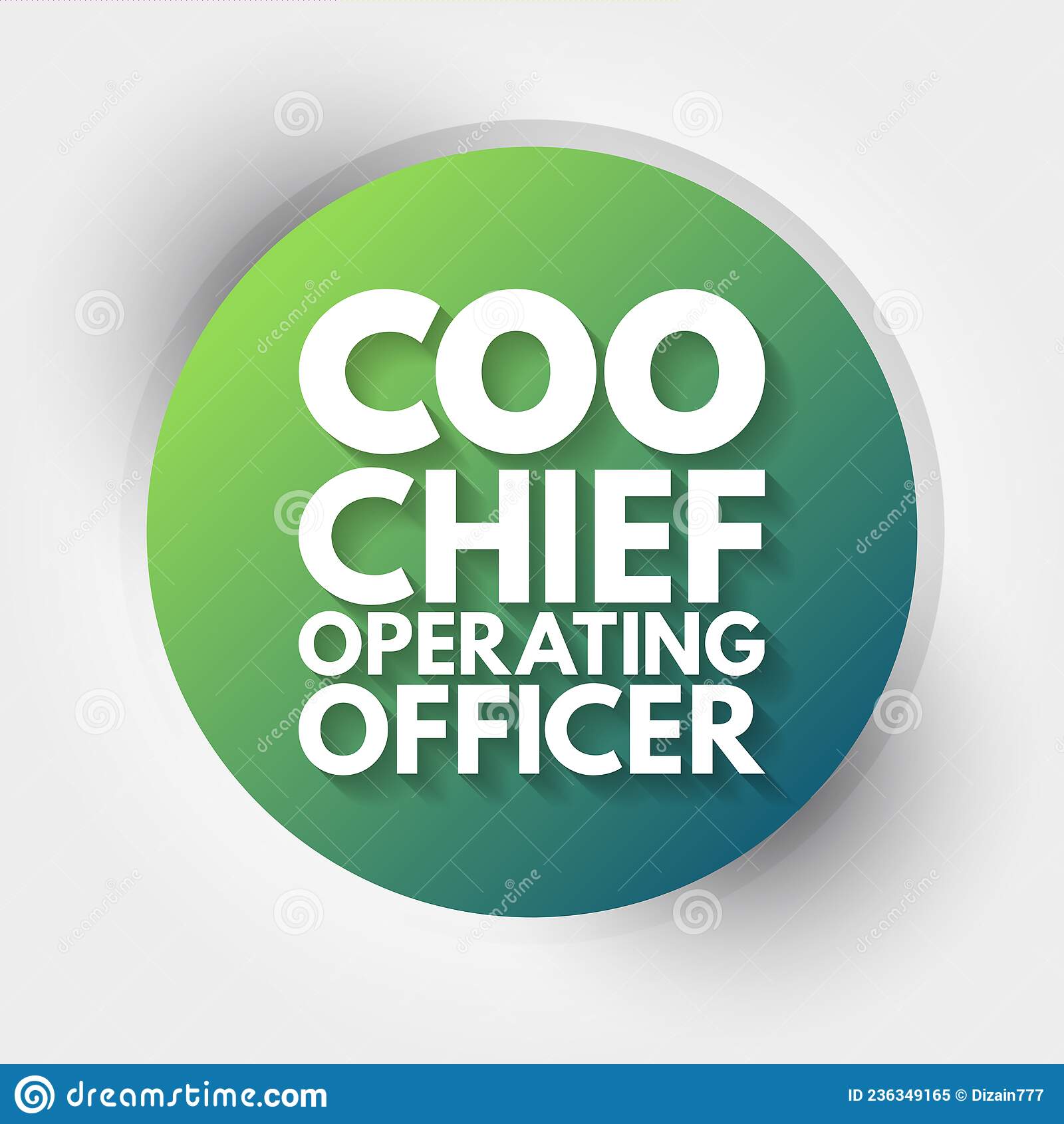 COO - CHIEF OPERATING OFFICER